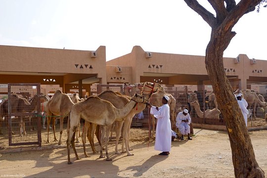 Tour image 4