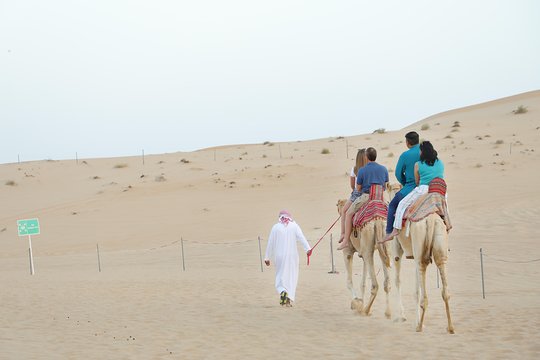 Tour image 6