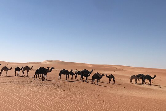 Tour image 7