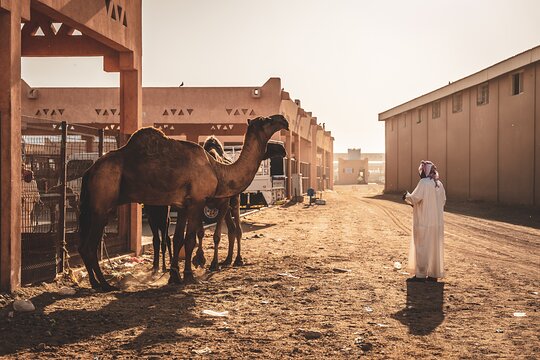 Tour image 10
