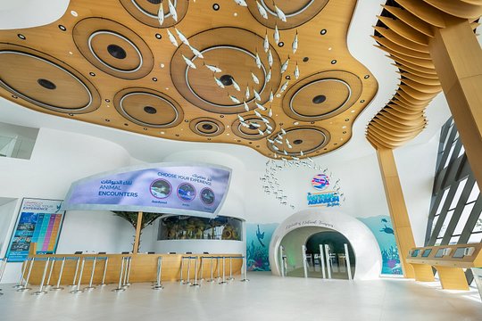 Tour image 6